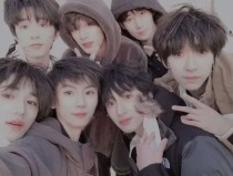 红杏四叶草网站